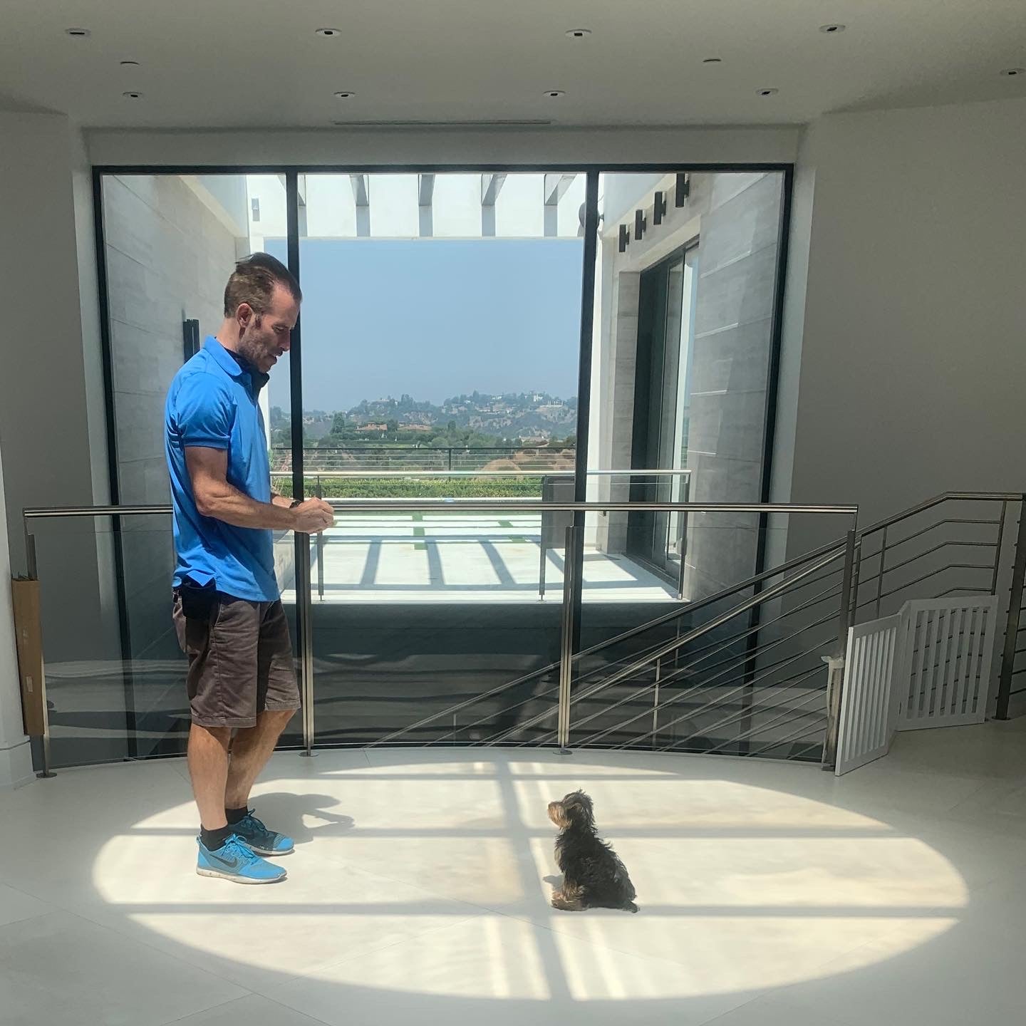 Puppy & House Training Package