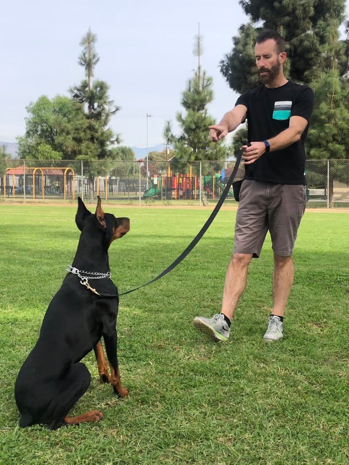 Obedience Training