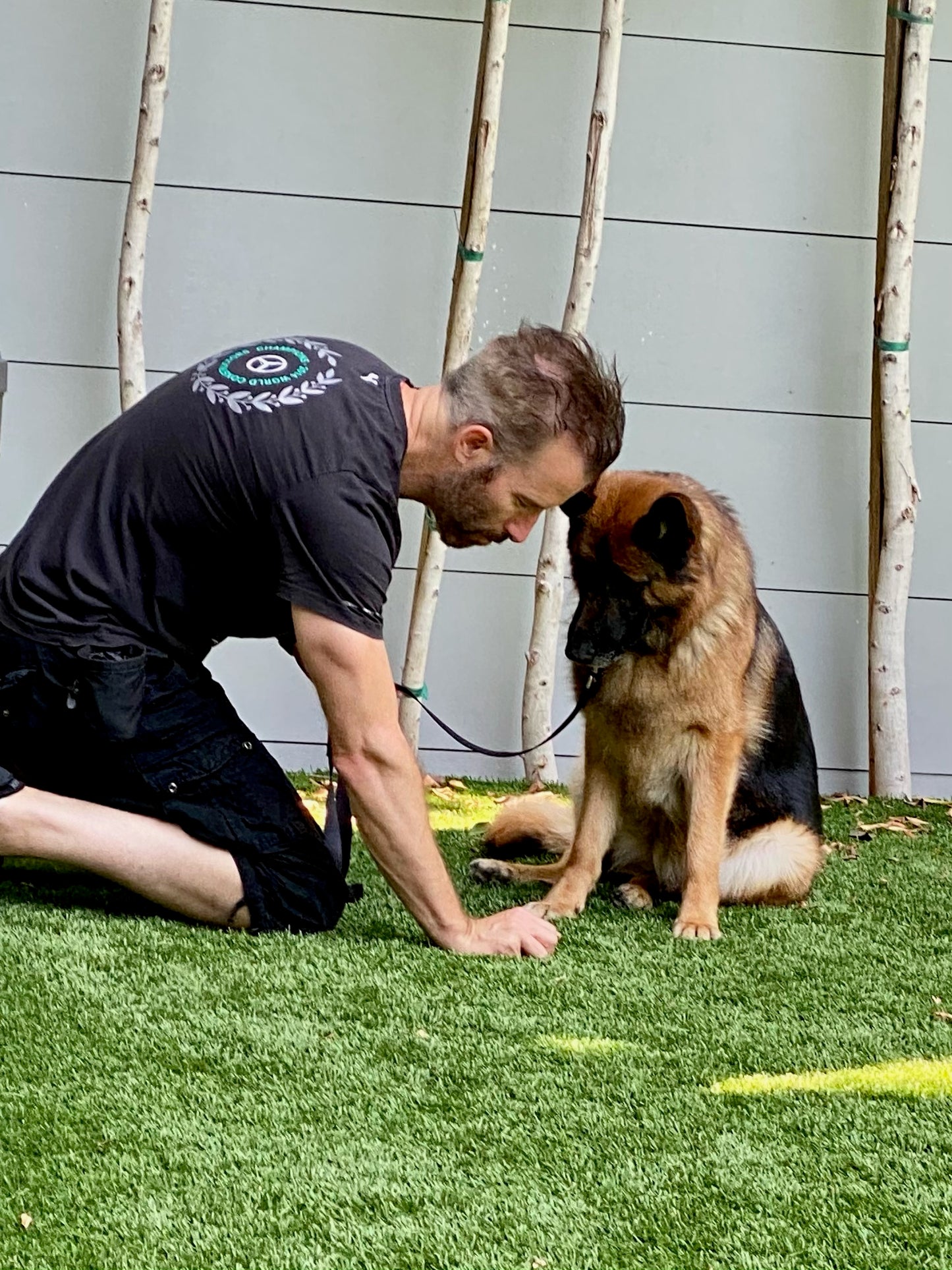 Obedience Training
