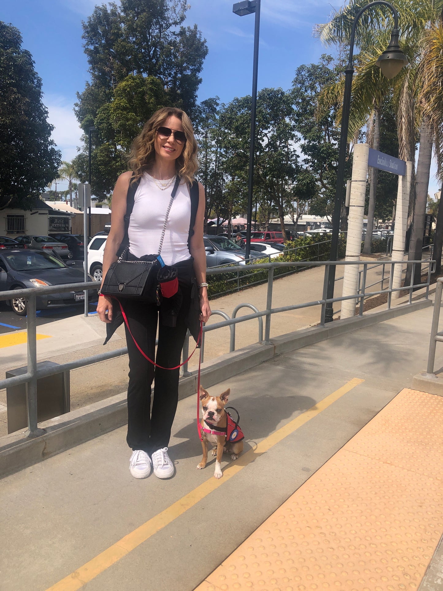 Service Dog Training