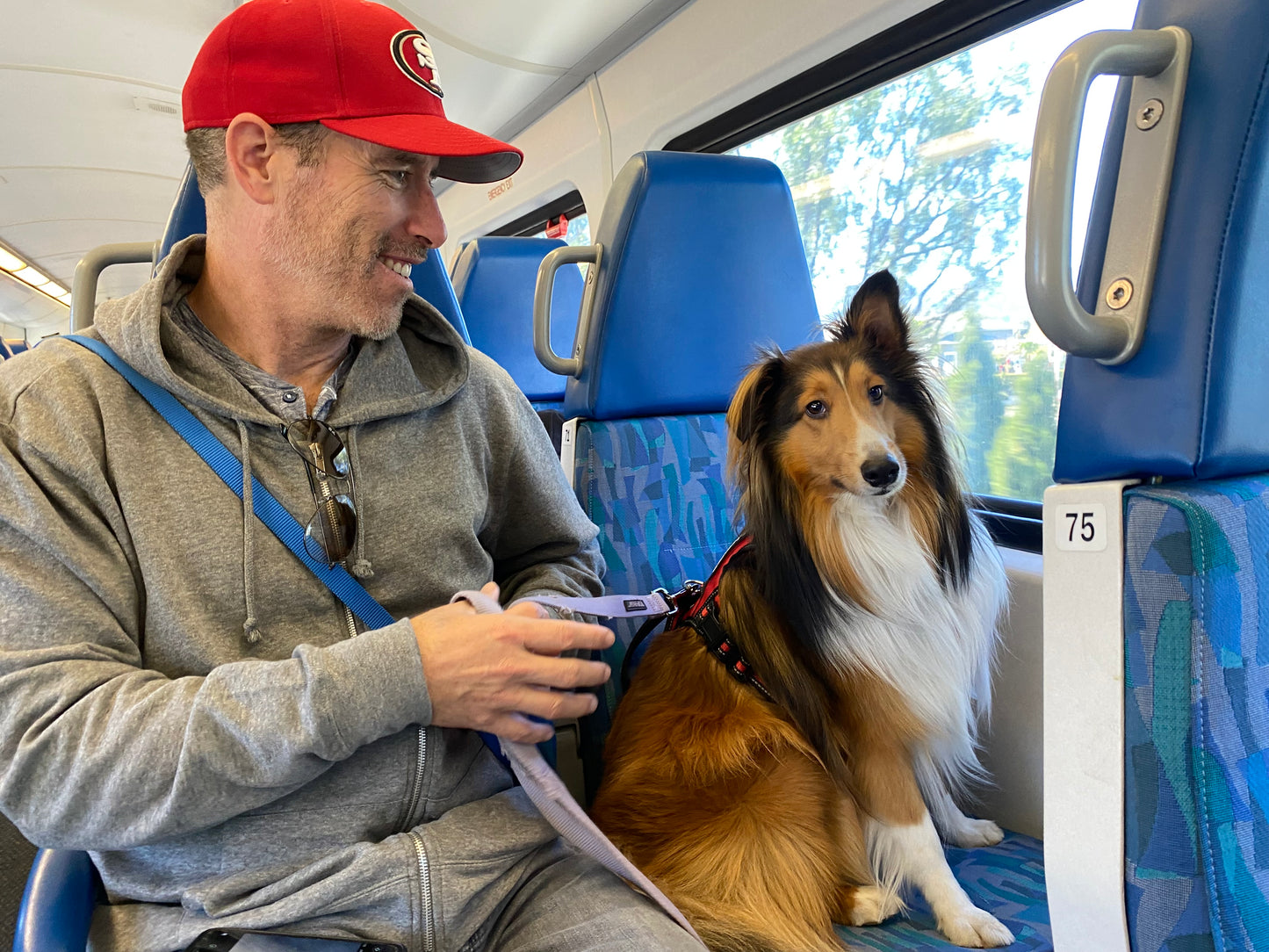 Service Dog Training